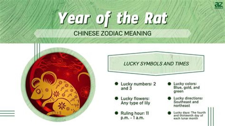 1984 Zodiac Sign: The Year of the Rat and Its Significance