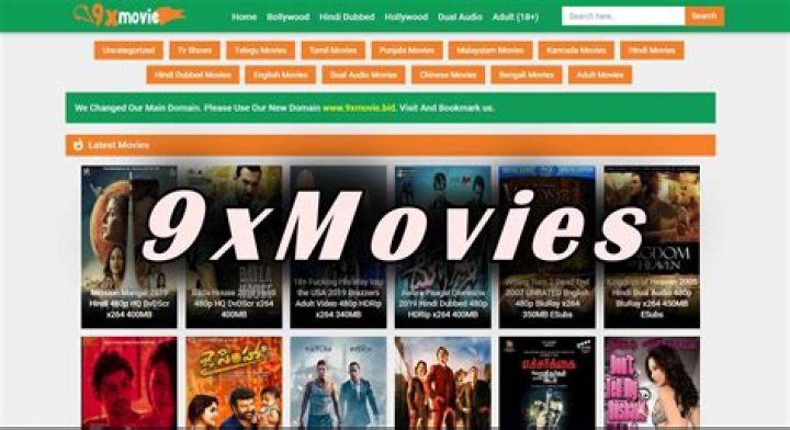 9x Movies Hub: Your Ultimate Destination for Movie Downloads and Entertainment
