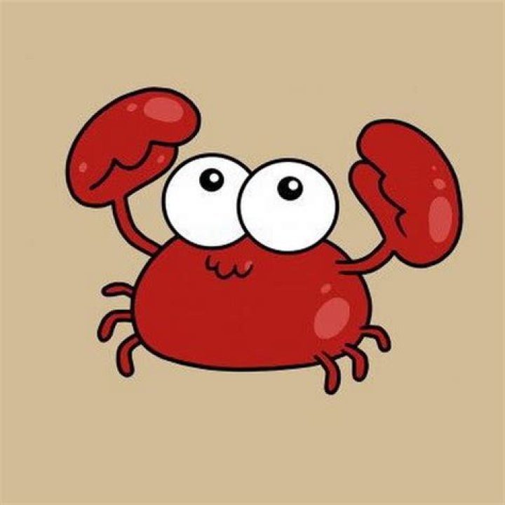 9xMovie Hub: Your Ultimate Destination for Movie Entertainment