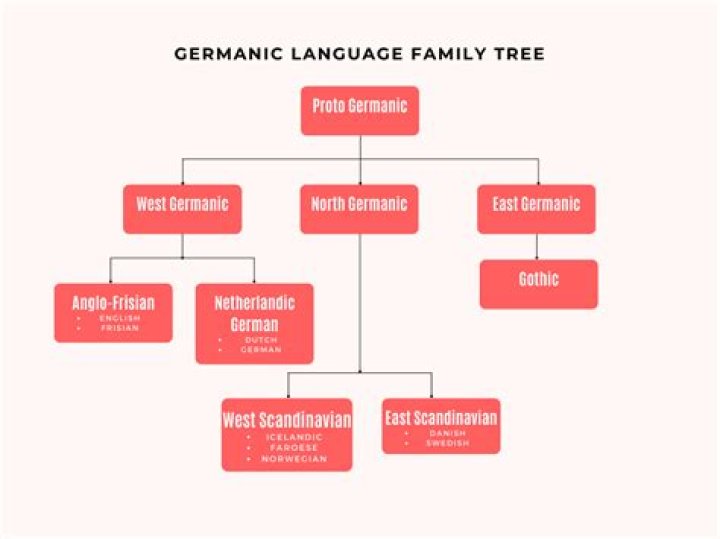 Alexander Zverev's Nationality: An Exploration Of His Germanic Roots