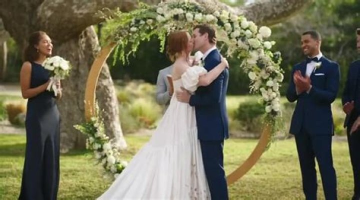 Ari Melber Wedding Pictures: A Closer Look at the Celebrated Occasion