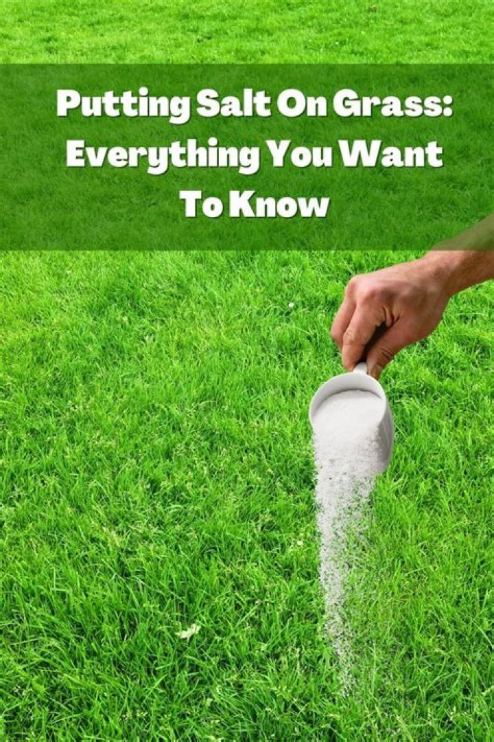 Benefits of Putting Salt Under Your Tongue: Unlocking Its Surprising Health Advantages