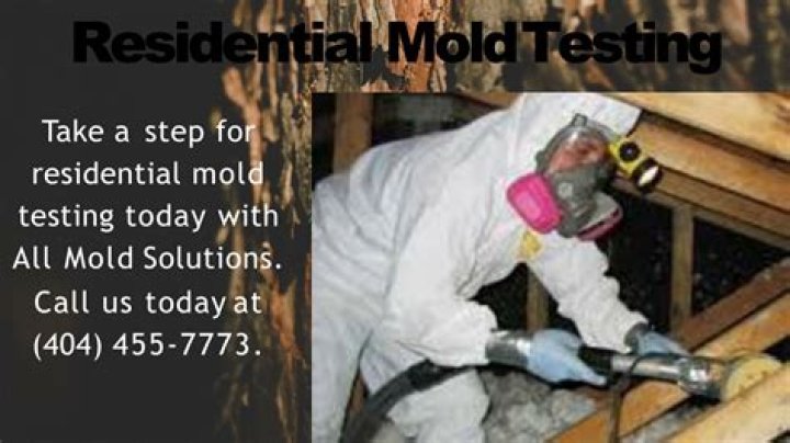 Best Mold Removal Companies Near Me: Your Ultimate Guide to Professional Services