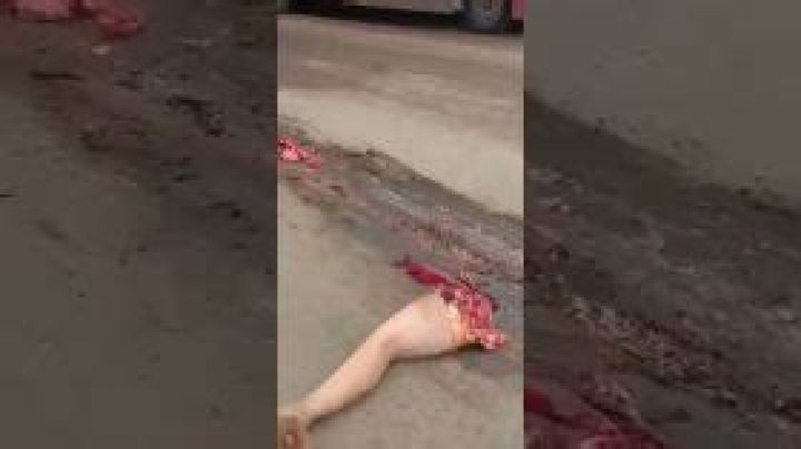 Bestgore.fun: A Comprehensive Guide to Understanding and Navigating the Platform