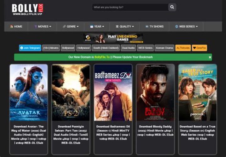 Bollyflix 2024: Your Ultimate Guide to Bollywood Movies Streaming