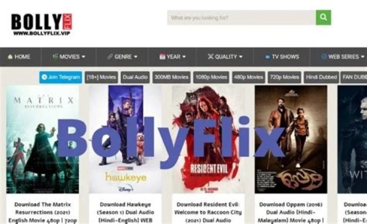 BollyFlix 2025: The Ultimate Guide to Streaming Bollywood Movies