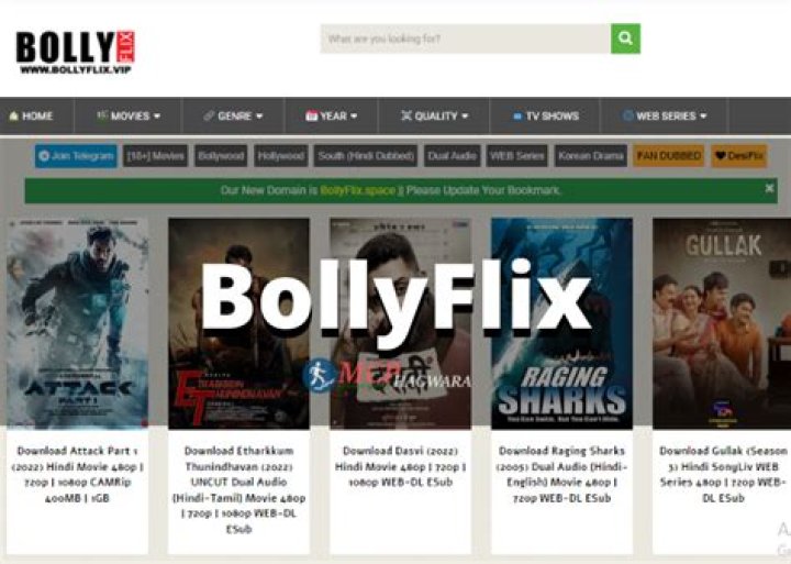 Bollyflix.com: Your Ultimate Destination for Bollywood Entertainment