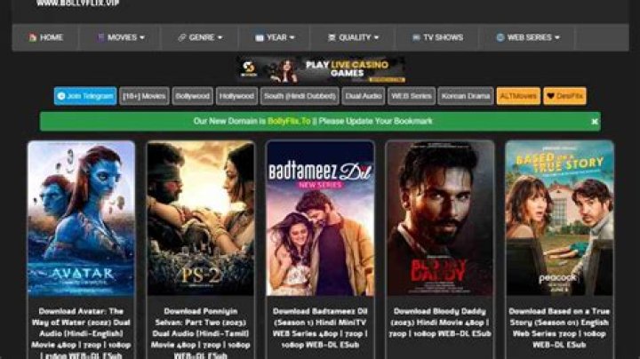 Bollyflix Movie Download Site: Your Ultimate Guide to Bollywood Entertainment