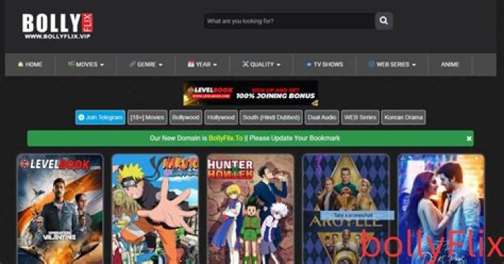 Bollyflix.ninja: Your Ultimate Guide to Streaming Bollywood Movies