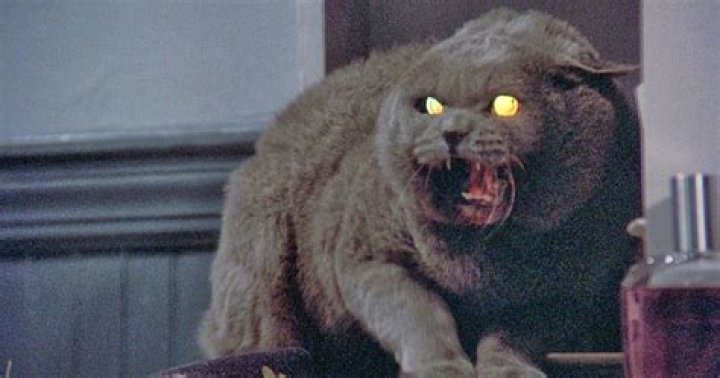 Church Pet Sematary: Exploring the Terrifying Origins and Legacy
