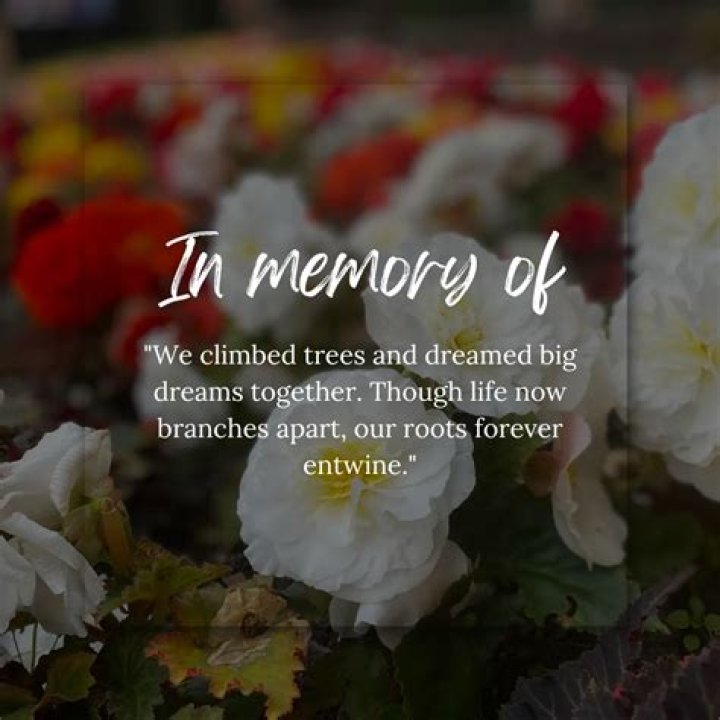 Discover Sentimental Tributes: Pinecrest Remembrance Obituaries