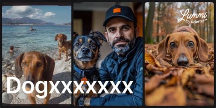 Unleashing the Power of Dog Ownership: A Comprehensive Guide to Dog Care and Well-Being