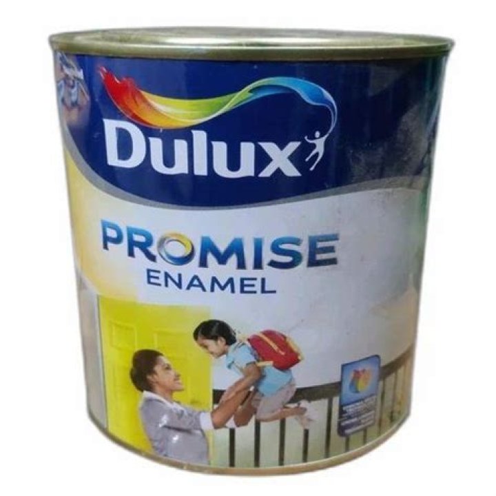 Exceptional Promise Paint: Unparalleled Quality And Results Guaranteed