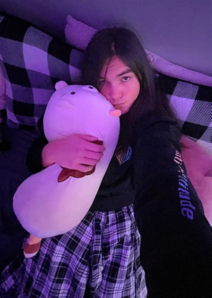 Femboy Pillow Humping: A Comprehensive Guide