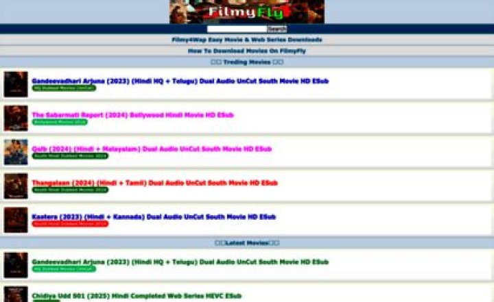 FilmyFly.in: Your Ultimate Destination for Movie Downloads and Entertainment