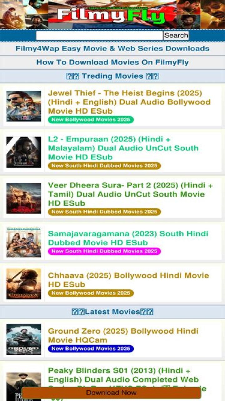 FilmyFly: Your Ultimate Destination for Downloading Movies