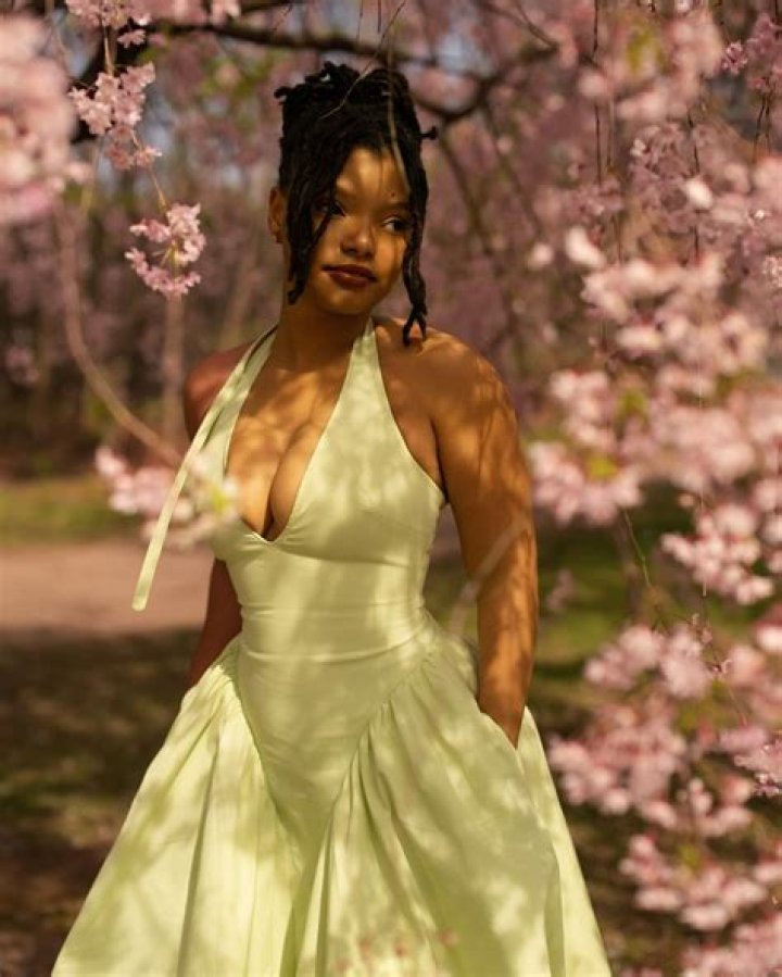 Halle Bailey Heritage: A Journey Through Roots, Talent, and Influence