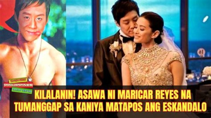 Hayden Kho and Maricar Reyes Relationship: A Comprehensive Look into Their Love Story