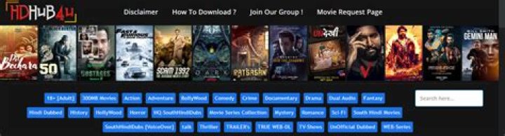 HDHub4U Biz: The Ultimate Guide to a Trusted Entertainment Platform