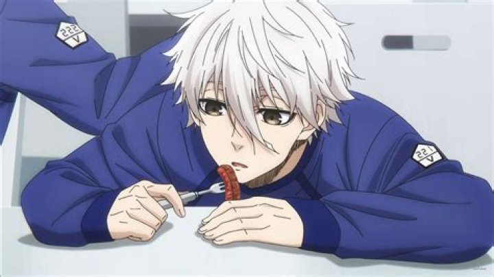 Hikaru Nagi Idade: A Comprehensive Guide to the Rising Star