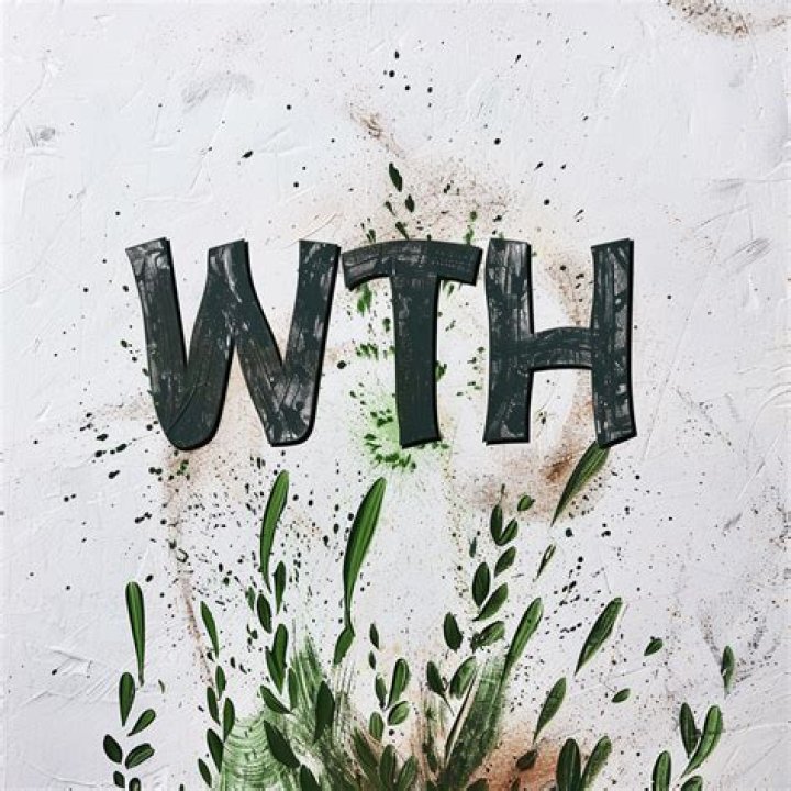 Is That Zopalno Far? A Comprehensive Guide to Understanding Zopalno's Location and Travel Insights