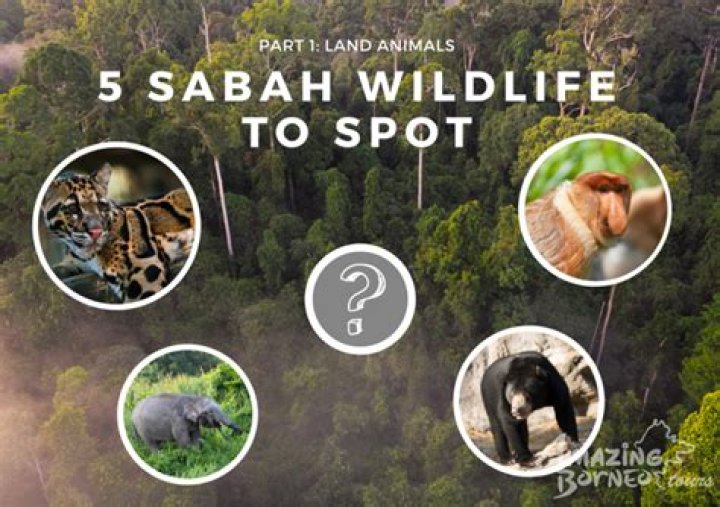 Jack Hanna's Home: A Haven For Wildlife And Conservation