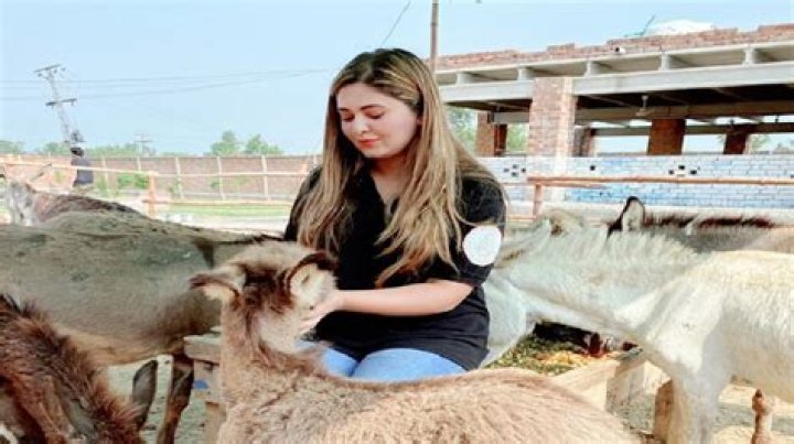 Meet Nikki Catsor: The Renowned Animal Advocate