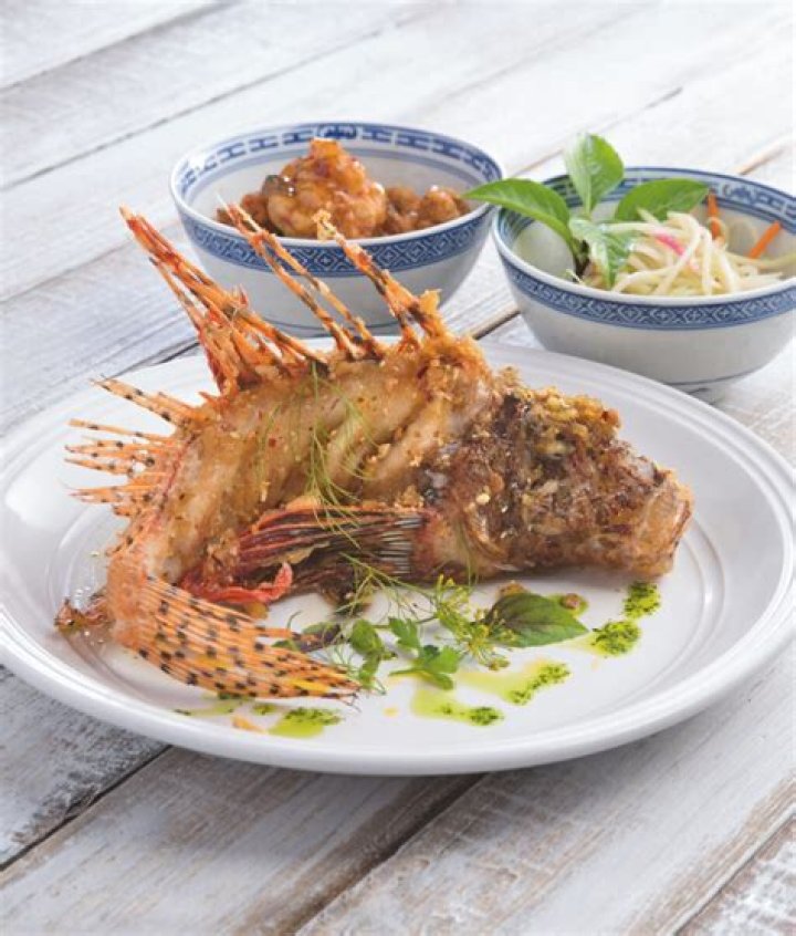 Meet Peter Coulopoulos: The Acclaimed Seafood Expert