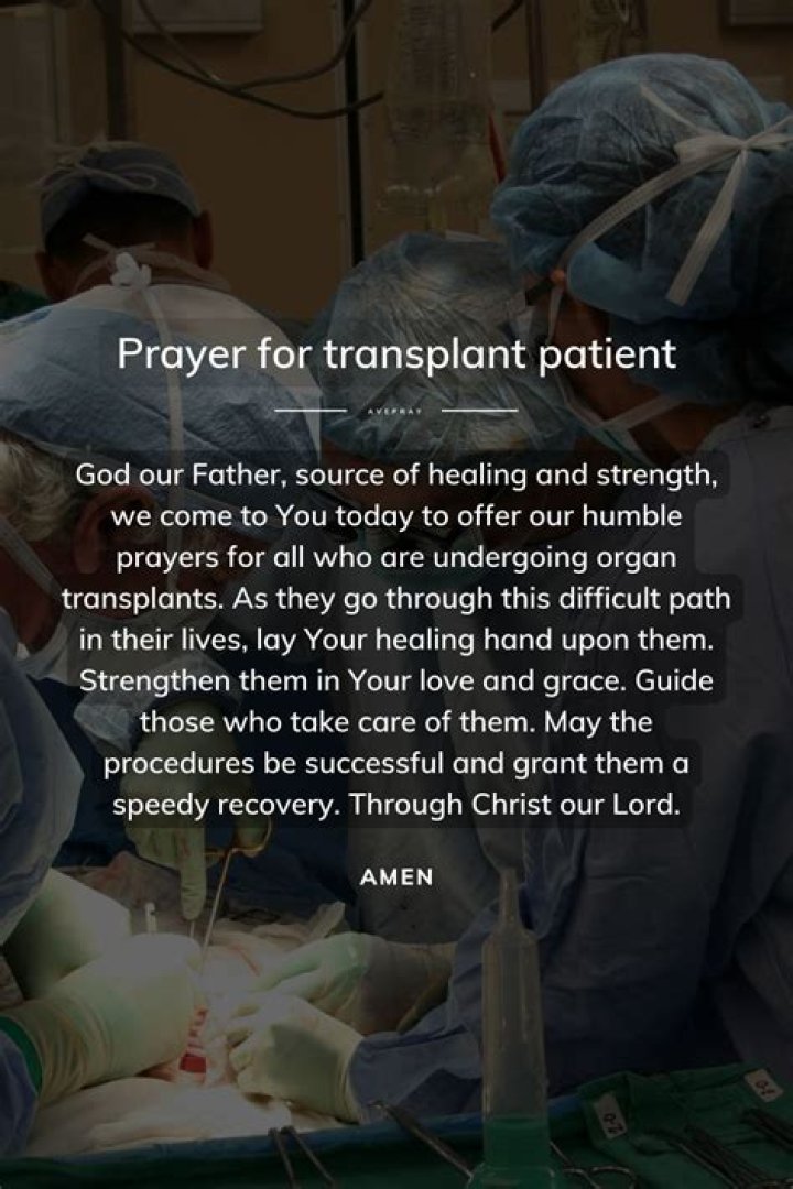 Mother Warmth Part 3: Exploring the Deeper Dimensions of Maternal Love and Care