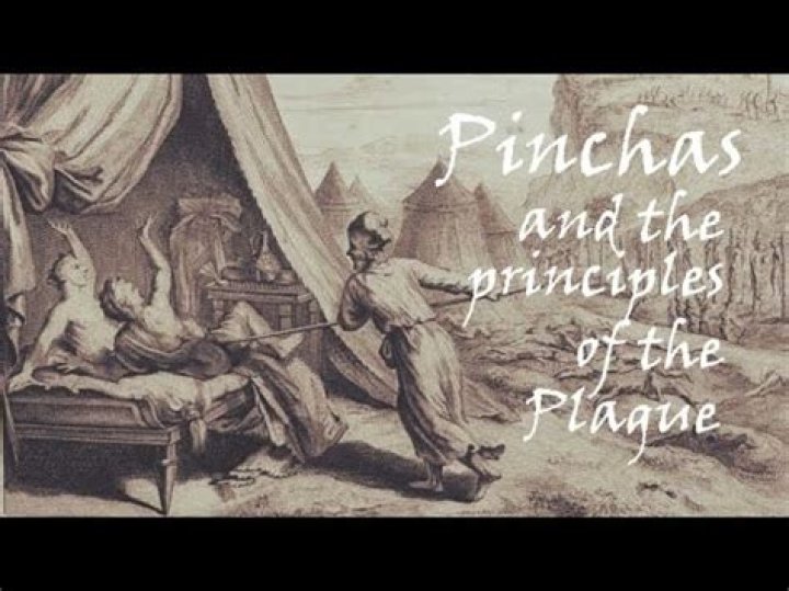 Pinpointing The Essentials Of Pinchas Ringel
