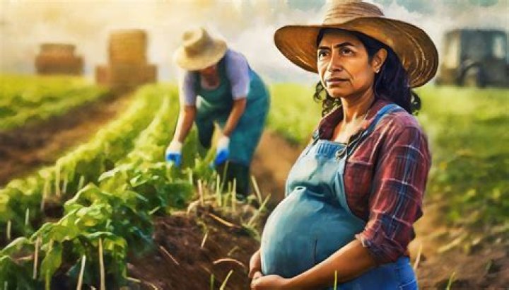 Remembering David Bacon: A Life Committed To Farmworker Advocacy