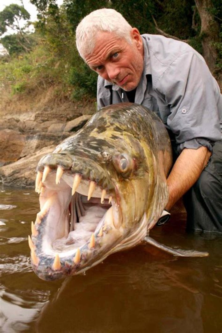 River Monsters: Unveiling the Mysteries Beneath the Water's Surface