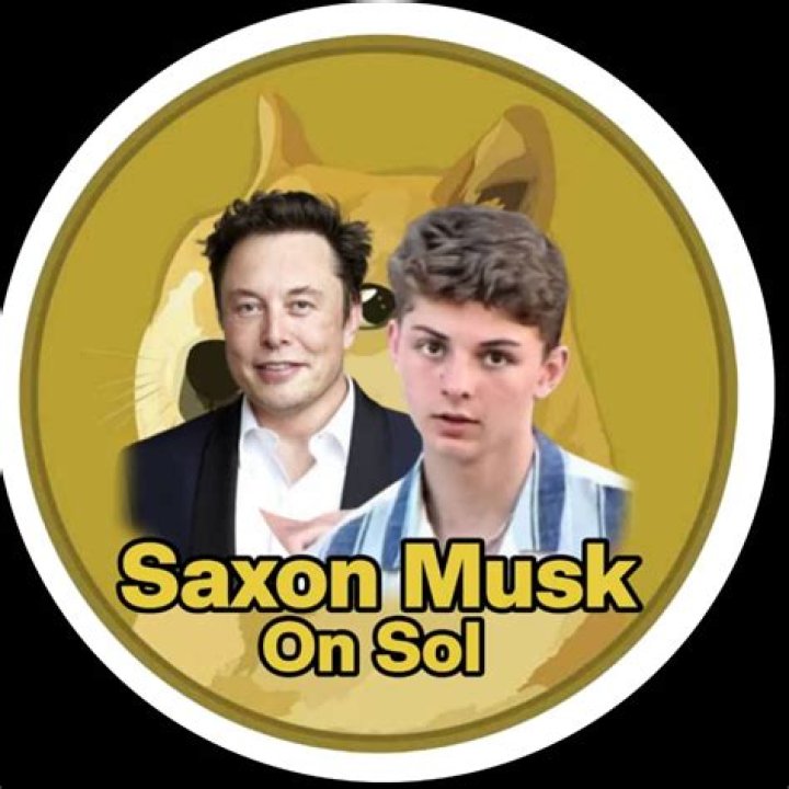 Saxon Musk: The Rising Star Shaping the Future of Technology