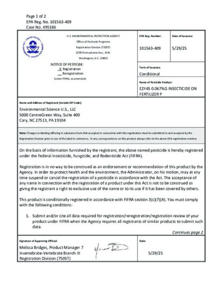 Maximizing Online Presence: A Comprehensive Guide to Navigating Beyond Facebook and YouTube