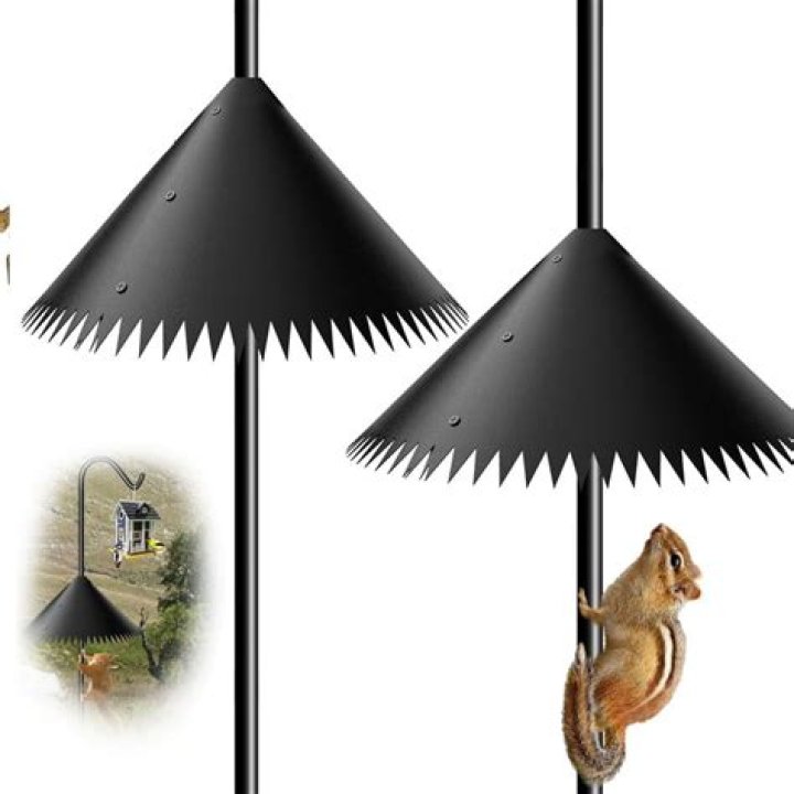 Squirrel Proof Bird Feeder Pole: The Ultimate Solution for Bird Enthusiasts