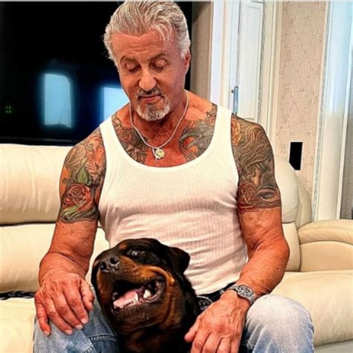 Sylvester Stallone: A Hollywood Icon With A Staggering Net Worth