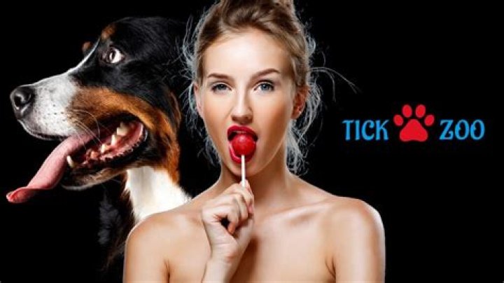 TickZoo: The Ultimate Travel Companion for Exploring the World