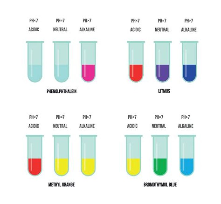 Ultimate Guide To Litmus Reddeners: Understanding Their Role In Chemical Testing