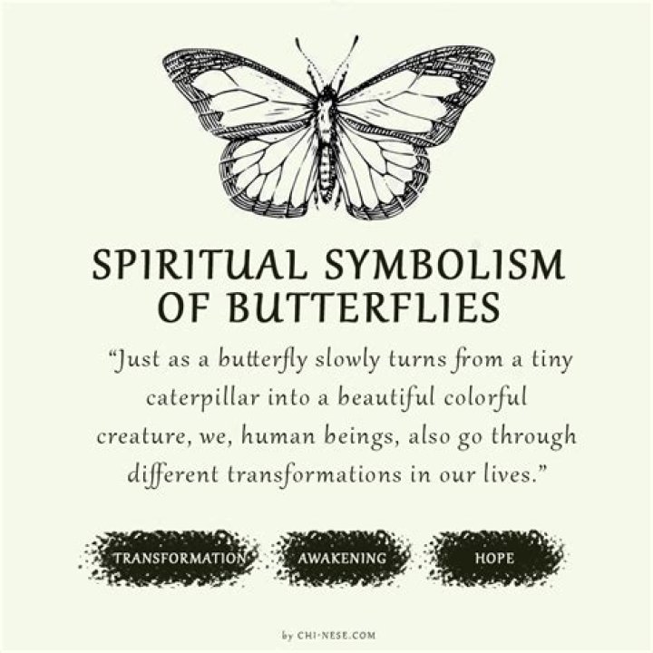 Unveiling The Profound Symbolism Of New Beginnings