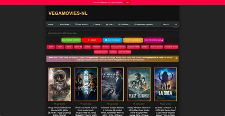 Vega Movies .nl: Your Ultimate Destination for Entertainment