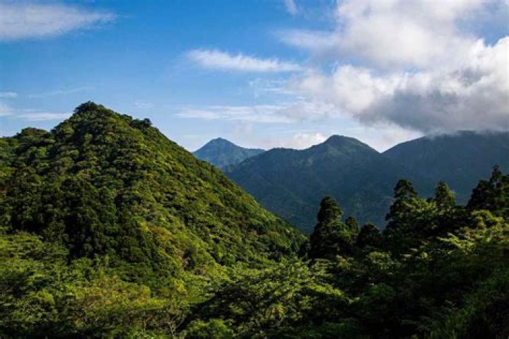 Where is Ivory Hills in Japan? Discover the Hidden Gem
