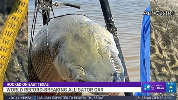 Exploring the World's Biggest Alligator Gar: A Fascinating Deep-Dive