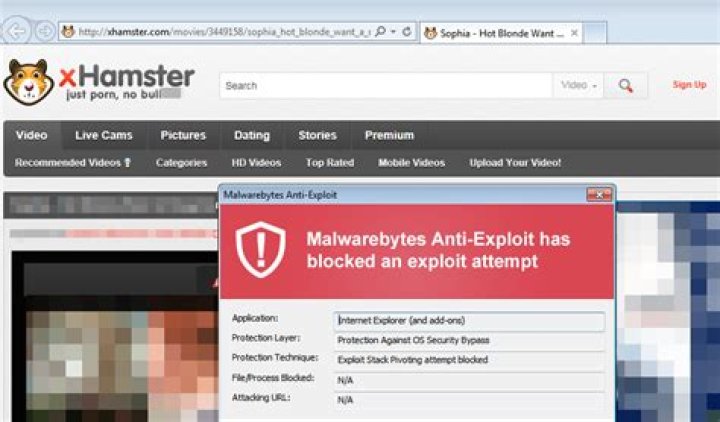 Xhamster History: A Comprehensive Guide to Understanding the Platform